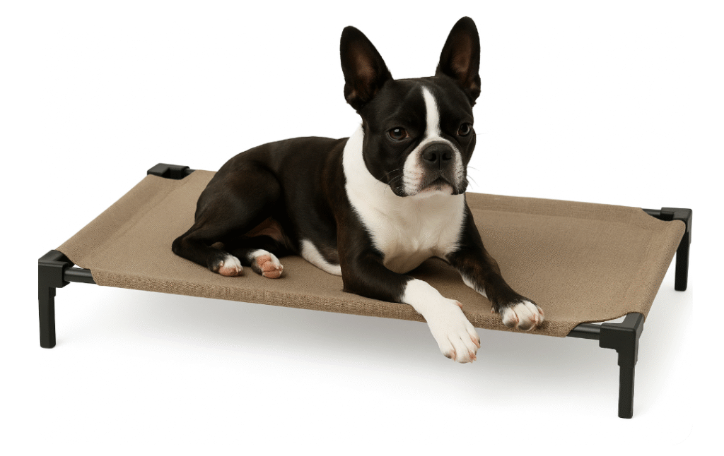 Coolaroo Pro Elevated Dog Bed