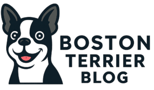 Boston Terrier Blog