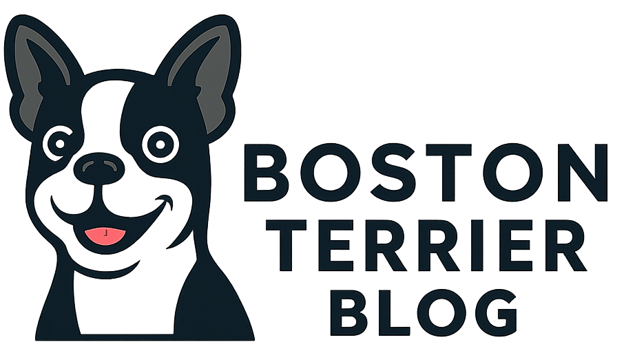 Boston Terrier Blog